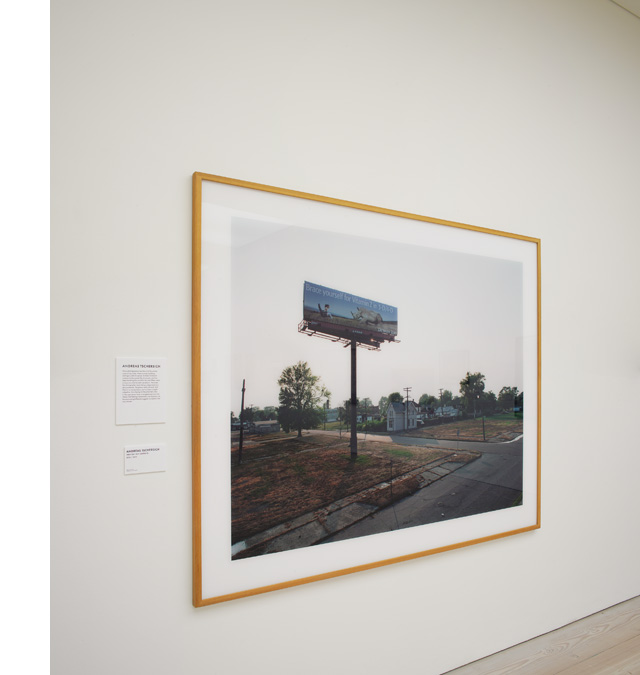 Saatchi Gallery